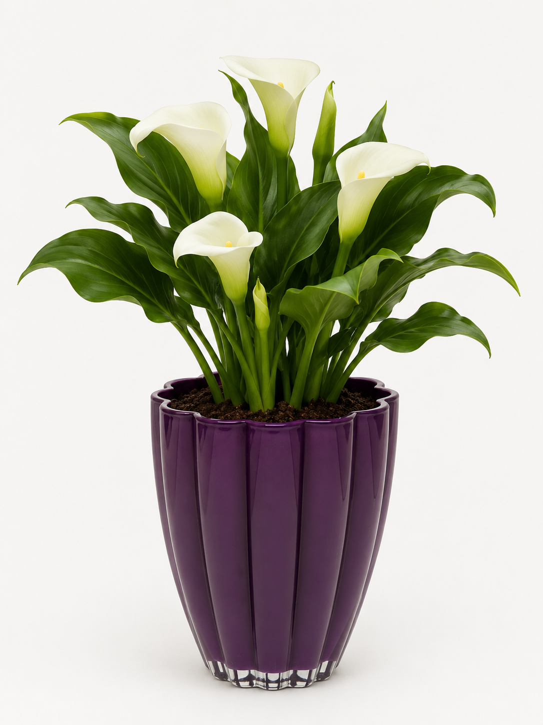 Szklany wazon dekoracyjny fioletowy 17 cm Vase Bloom